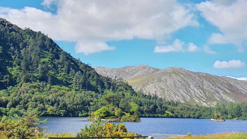 Conference in Clare will explore how land use can secure the future of rural Ireland