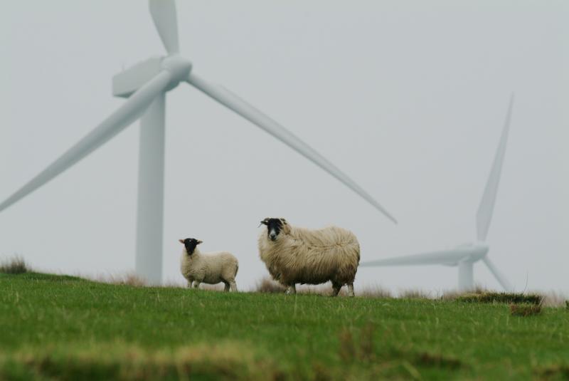 Permission refused for new windfarm at 'visually sensitive' location in west Clare