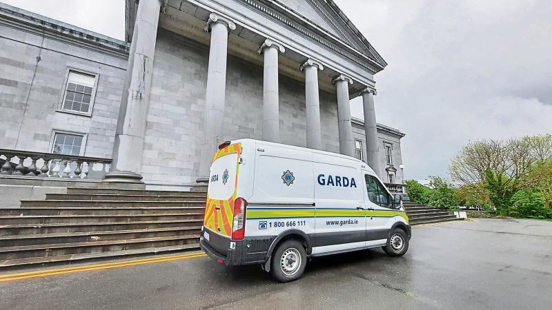 Gardai seek destruction order for XL bully dog seen 'running freely' on public roads in Clare