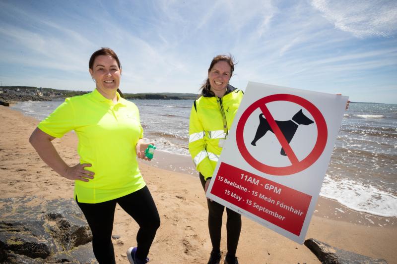 Additional dog control patrols to be mounted on Clare beaches this summer