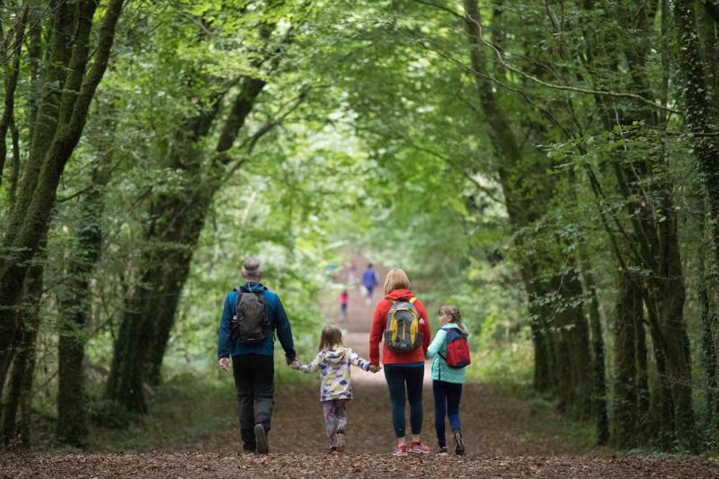 Busy Clare outdoor spaces to get spruced up with new 'enhancement' ideas