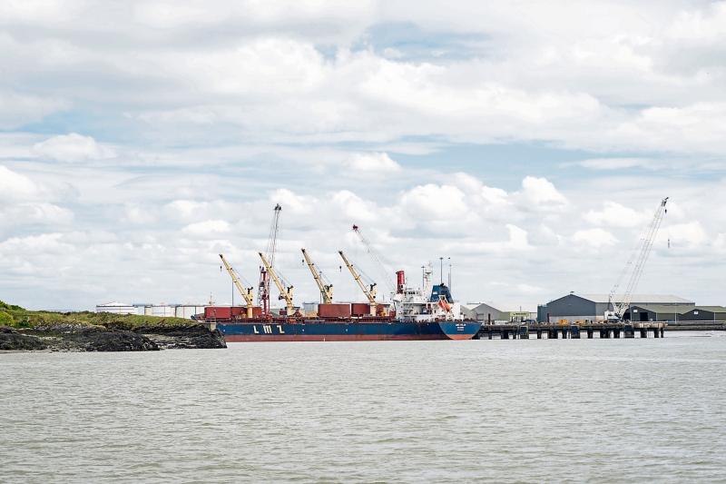 Government urged to progress plans to establish green energy hub on the Shannon Estuary 