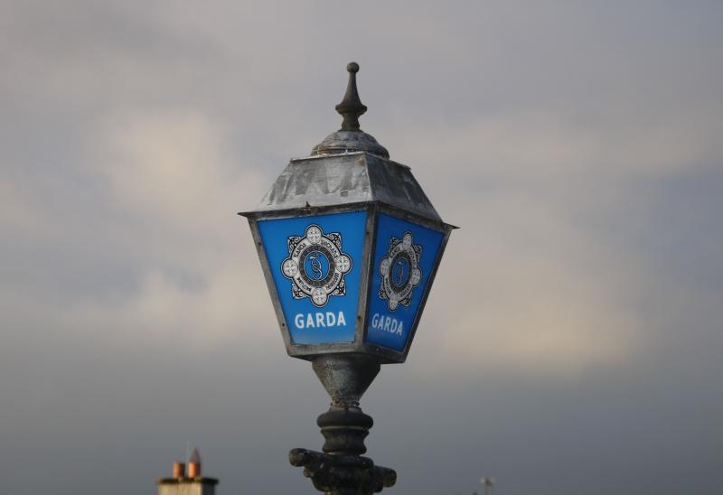 Witnesses sought following theft of high-powered BMW from outside Clare home