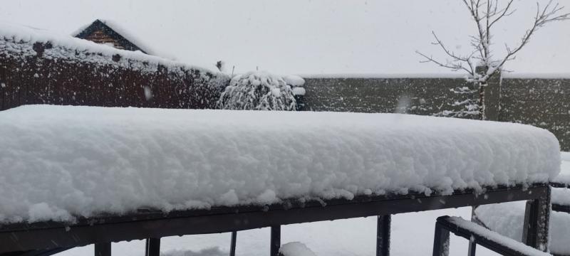 HSE advises patients in Clare to expect disruption to services as cold snap continues