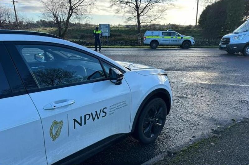 Operation Lexi! Clare gardai deployed to combat illegal hunting of animals