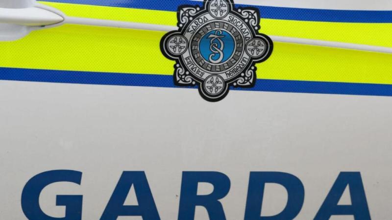 Gardaí appeal for witnesses after late-night theft sees BMW stolen 
