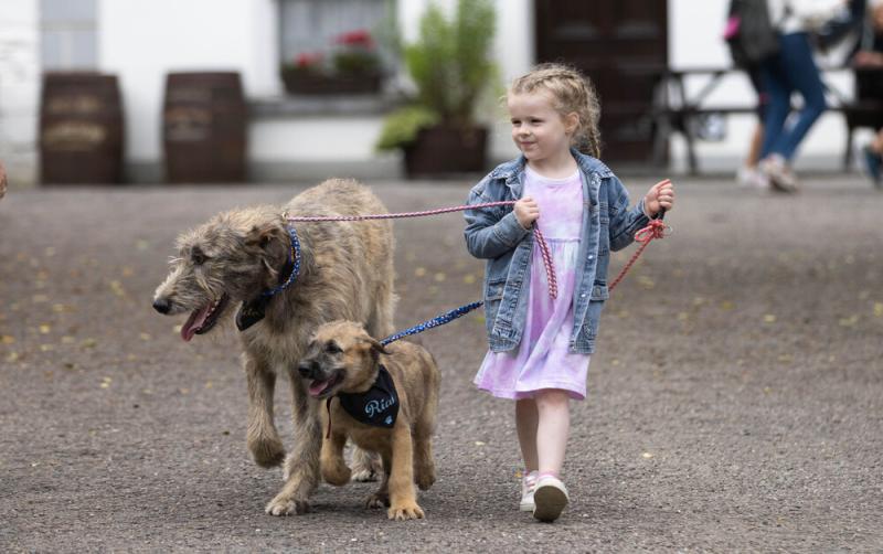 Don't miss it! Bunratty to host first-ever 'Bark in the Park' dog show 