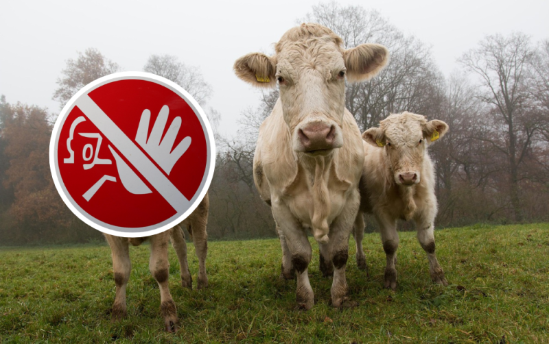 ALERT: Farmers hit with animal death and injury warning over 'incorrect equipment'