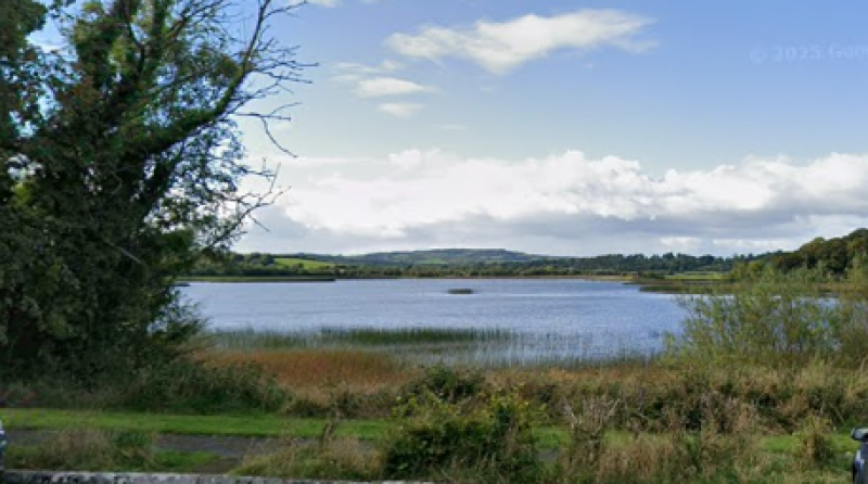 Calls to clear overgrowth obstructing views of popular Clare swimming spot