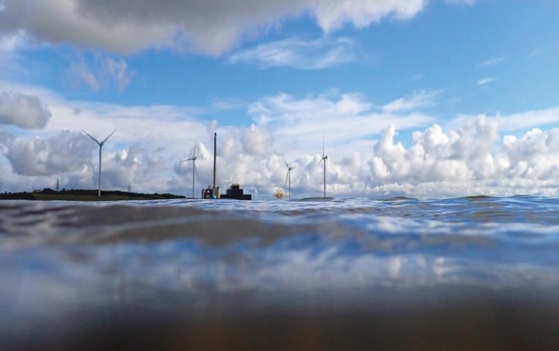 Clare exhibition on coastal landscapes marks a 'pivotal moment' in Irish history 
