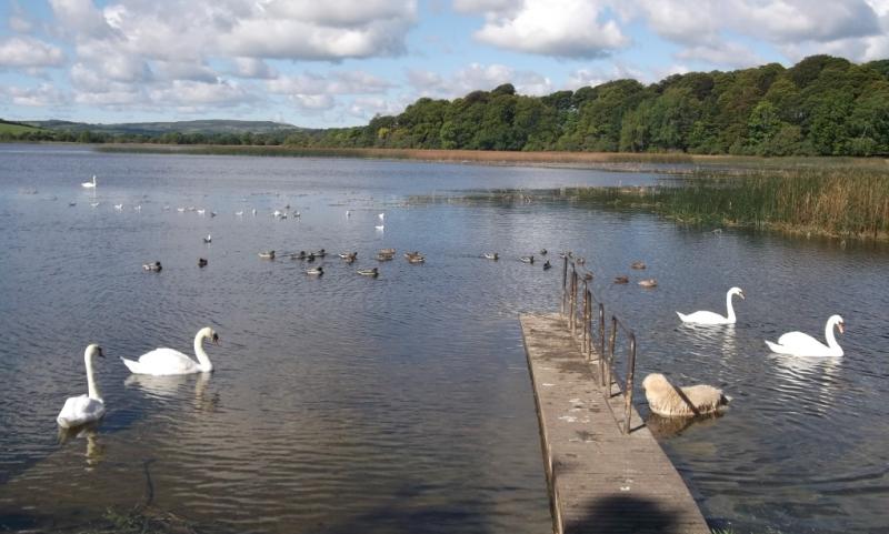 Improvements planned for popular Clare swimming spot