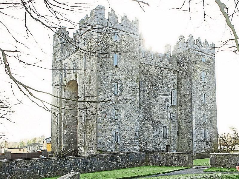 Mouse droppings led to closure of  bakery at Bunratty Castle and Folk Park