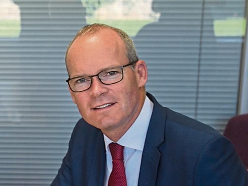 Target of  50,000 news jobs along Shannon Estuary 'is achievable' insists government minister 
