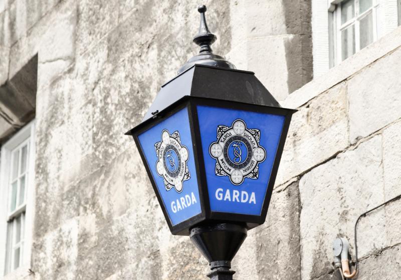 Garda&iacute; arrest two teens following burglary at a business premises
