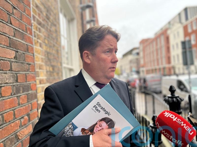 Eviction ban plan will be time-limited, says housing minister