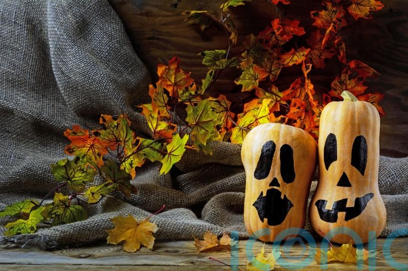 GUIDE: How to make a spooky Halloween display with homegrown fruit and veg