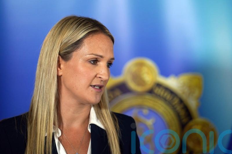 Social media &lsquo;a dark place&rsquo;, says McEntee as politicians urged to report threats