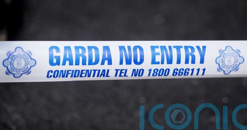 Two in hospital after man shot multiple times in Co Wicklow