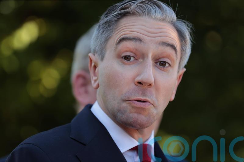 &lsquo;Nonsense&rsquo; to suggest Fine Gael councillors should back independent candidates