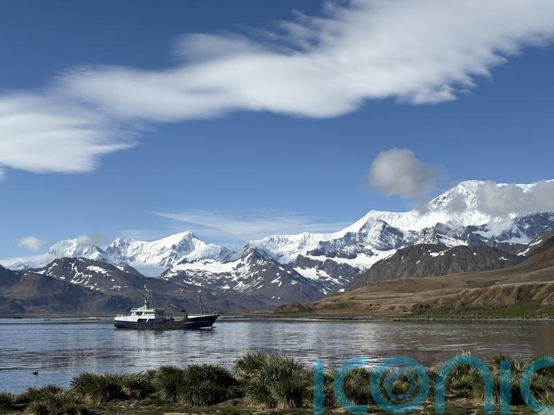 TD calls on Ireland to join Antarctic treaties